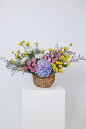 A Burst of Spring